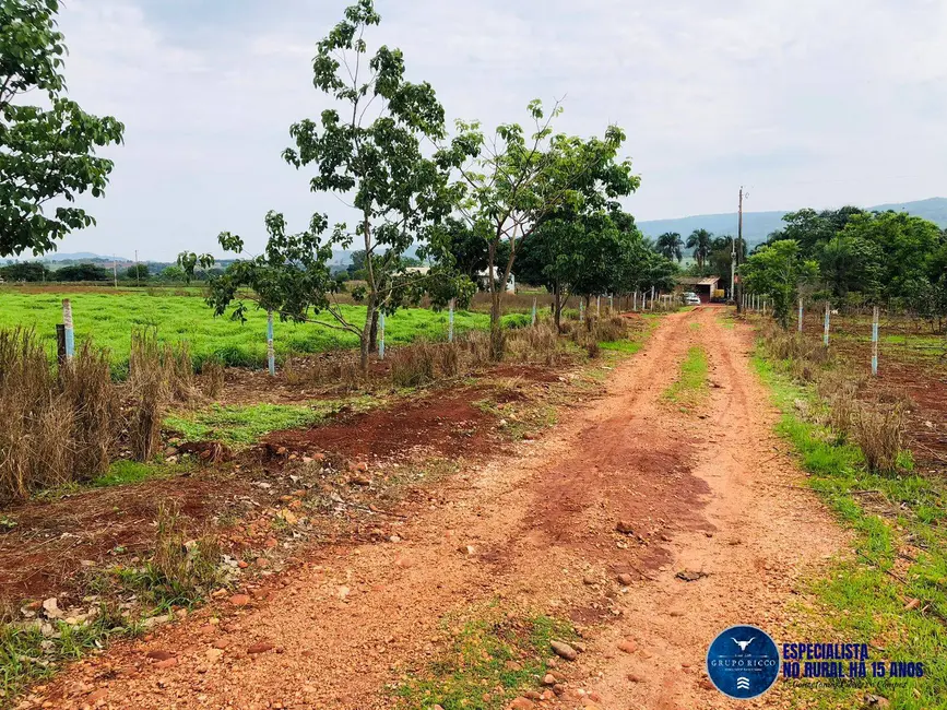 Foto 5 de Chácara com 4 quartos à venda em Itaberai - GO