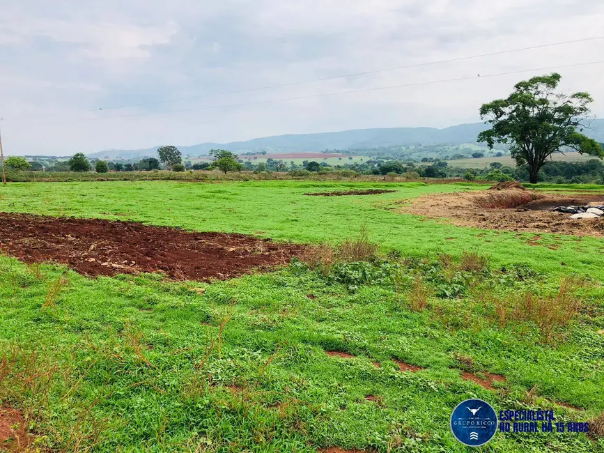 Foto 8 de Chácara com 4 quartos à venda em Itaberai - GO
