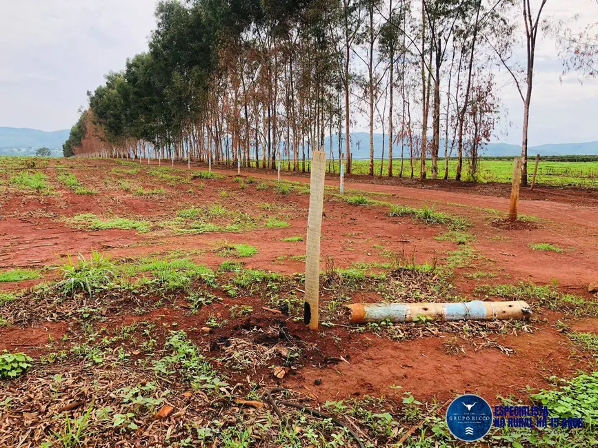 Foto 7 de Chácara com 4 quartos à venda em Itaberai - GO