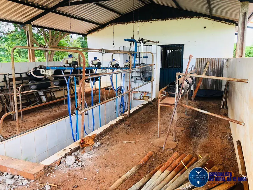 Foto 2 de Chácara à venda em Itaberai - GO