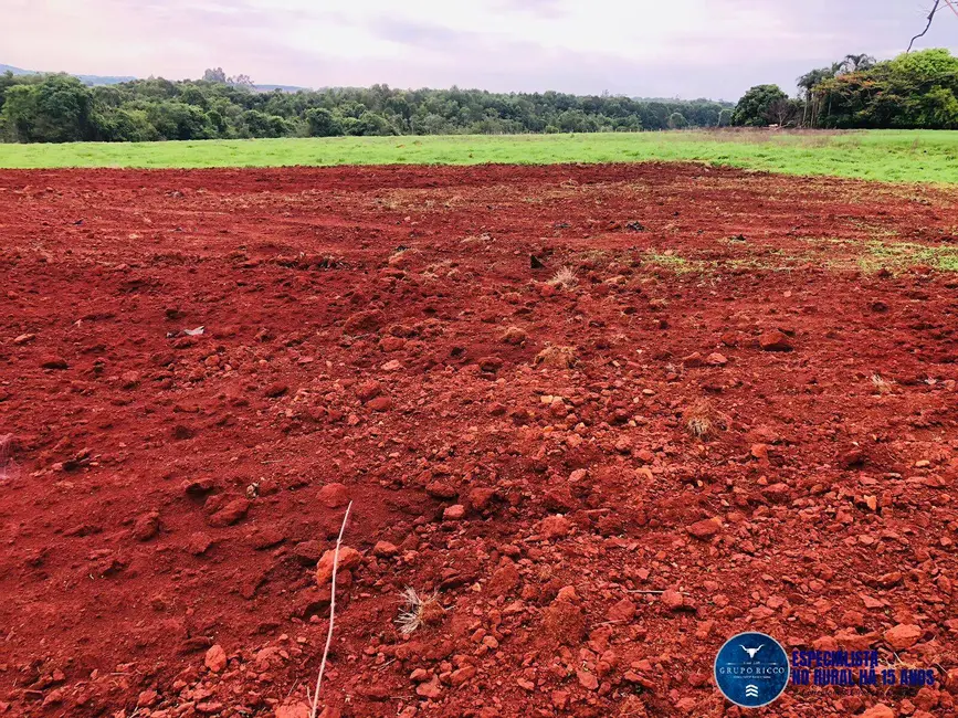 Foto 9 de Chácara com 4 quartos à venda em Itaberai - GO