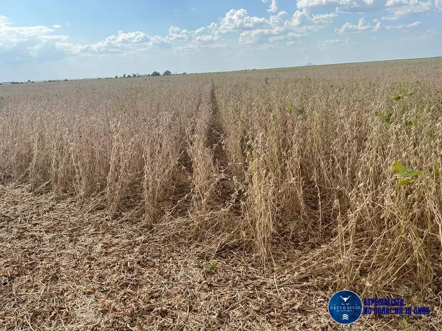 Foto 4 de Fazenda / Haras à venda, 4150m2 em Bonfim - RR