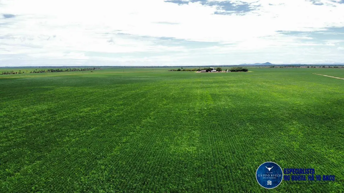 Foto 5 de Fazenda / Haras à venda, 4150m2 em Bonfim - RR