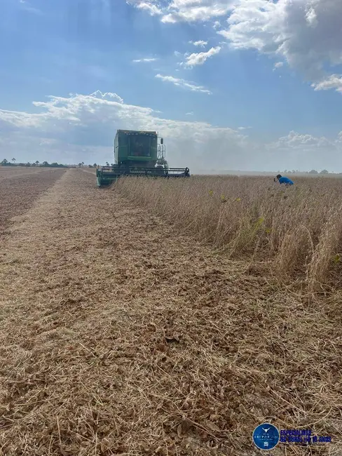 Foto 9 de Fazenda / Haras à venda, 4150m2 em Bonfim - RR