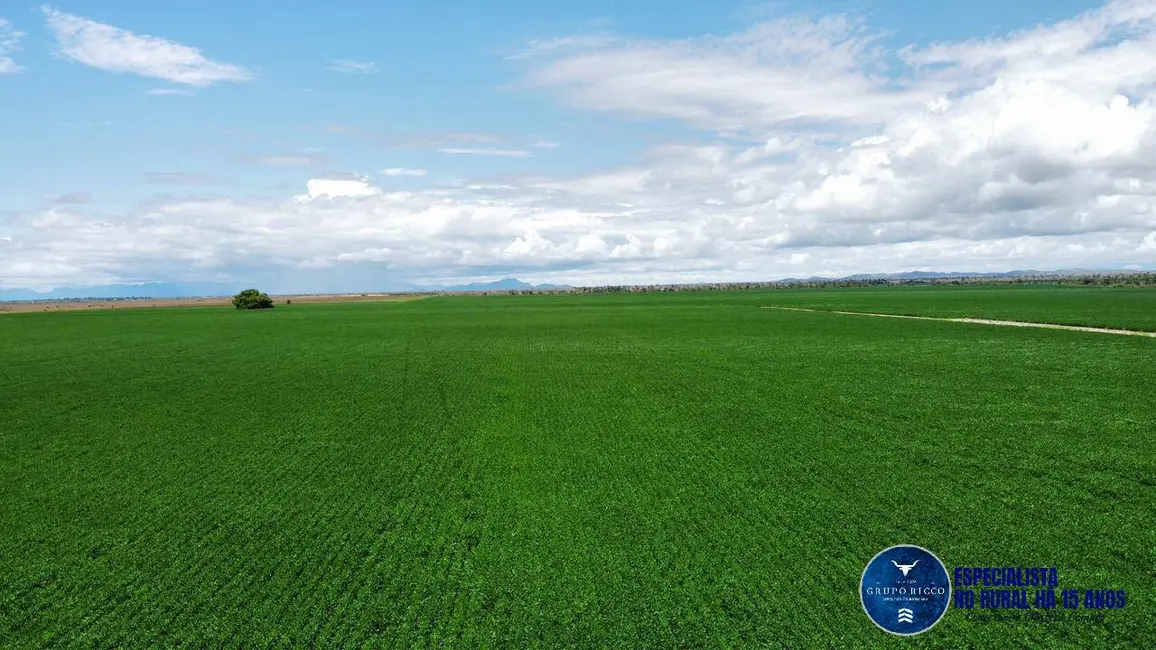 Foto 8 de Fazenda / Haras à venda, 4150m2 em Bonfim - RR