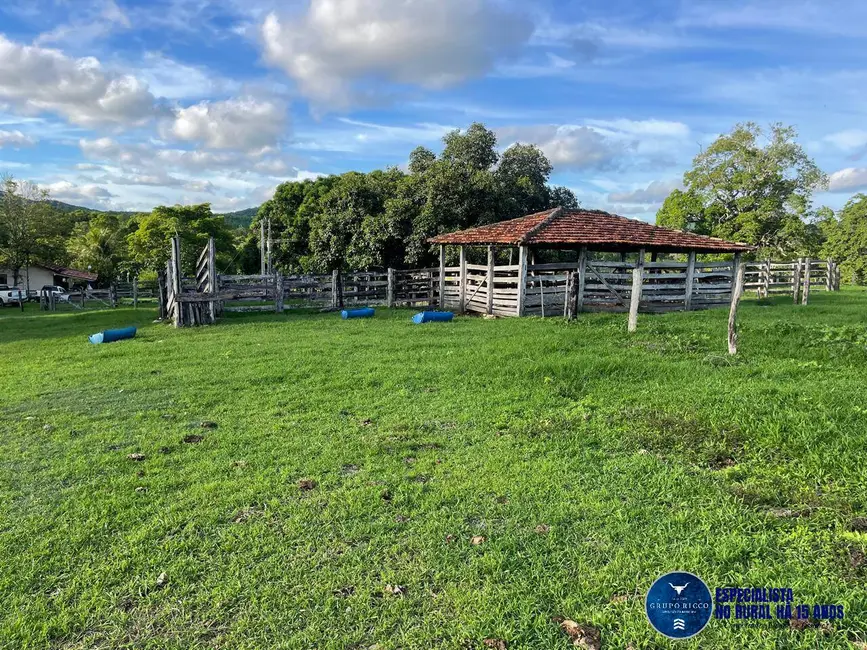 Foto 2 de Fazenda / Haras à venda, 27m2 em Faina - GO