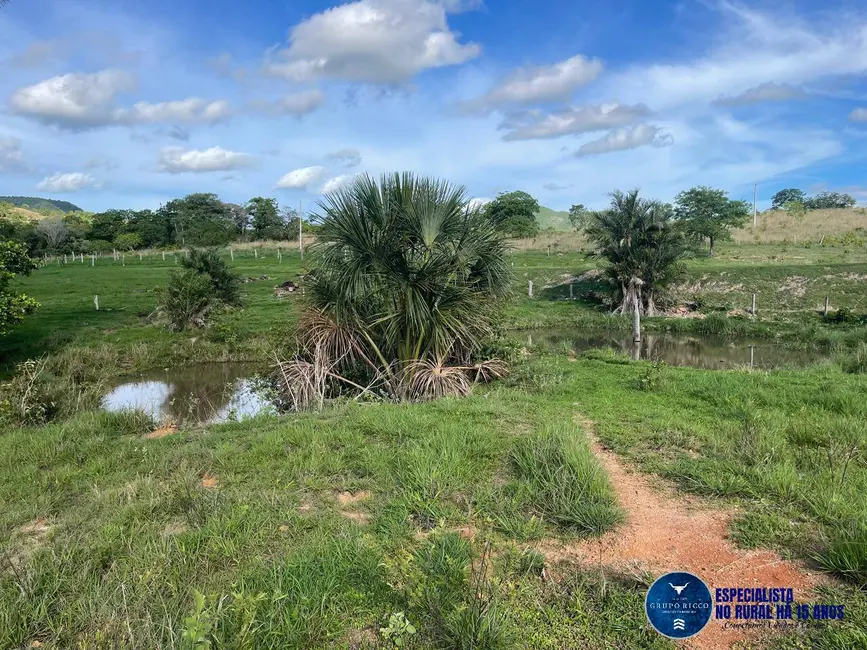 Foto 5 de Fazenda / Haras à venda, 27m2 em Faina - GO
