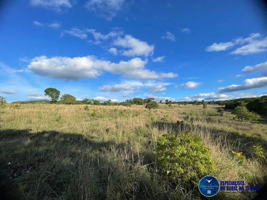 Foto 9 de Fazenda / Haras à venda, 27m2 em Faina - GO