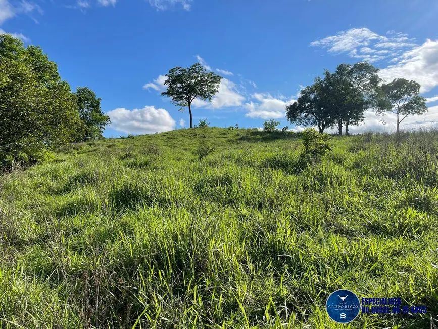 Foto 1 de Fazenda / Haras à venda, 27m2 em Faina - GO
