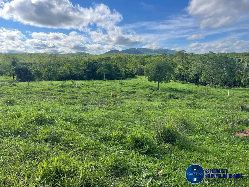 Foto 6 de Fazenda / Haras à venda, 27m2 em Faina - GO