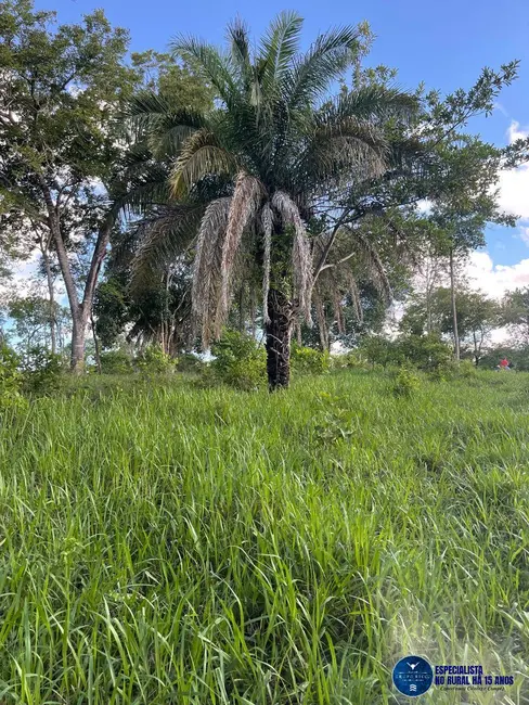 Foto 4 de Fazenda / Haras à venda, 27m2 em Faina - GO