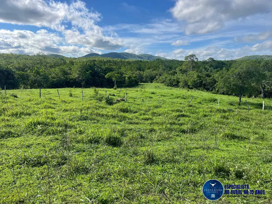 Foto 8 de Fazenda / Haras à venda, 27m2 em Faina - GO