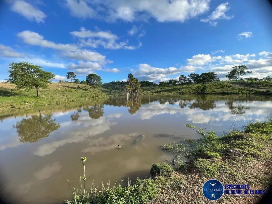 Foto 7 de Fazenda / Haras à venda, 27m2 em Faina - GO