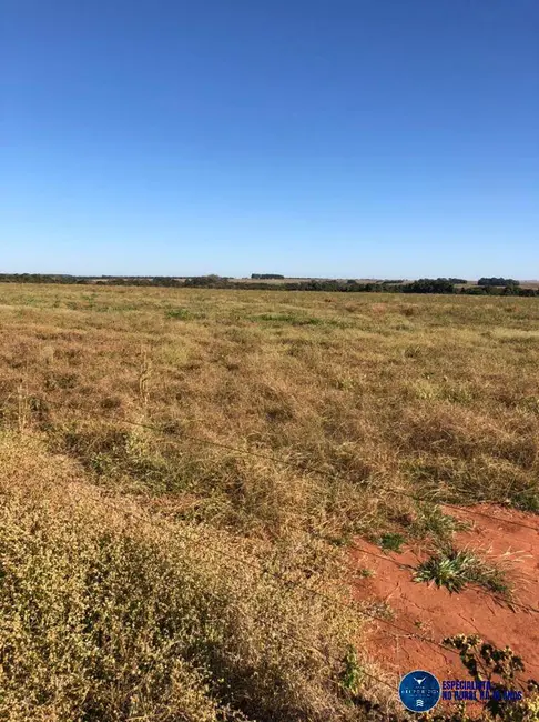 Foto 9 de Fazenda / Haras à venda, 49m2 em Piranhas - GO