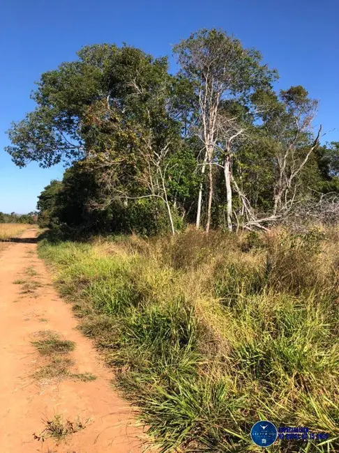 Foto 8 de Fazenda / Haras à venda, 49m2 em Piranhas - GO