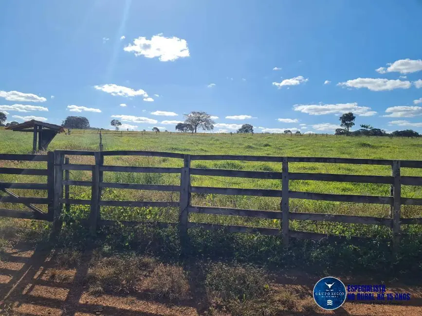 Foto 3 de Chácara à venda em Professor Jamil - GO