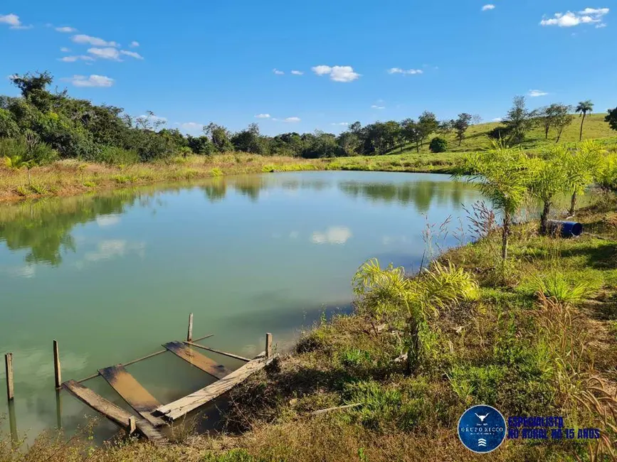 Foto 7 de Chácara à venda em Professor Jamil - GO