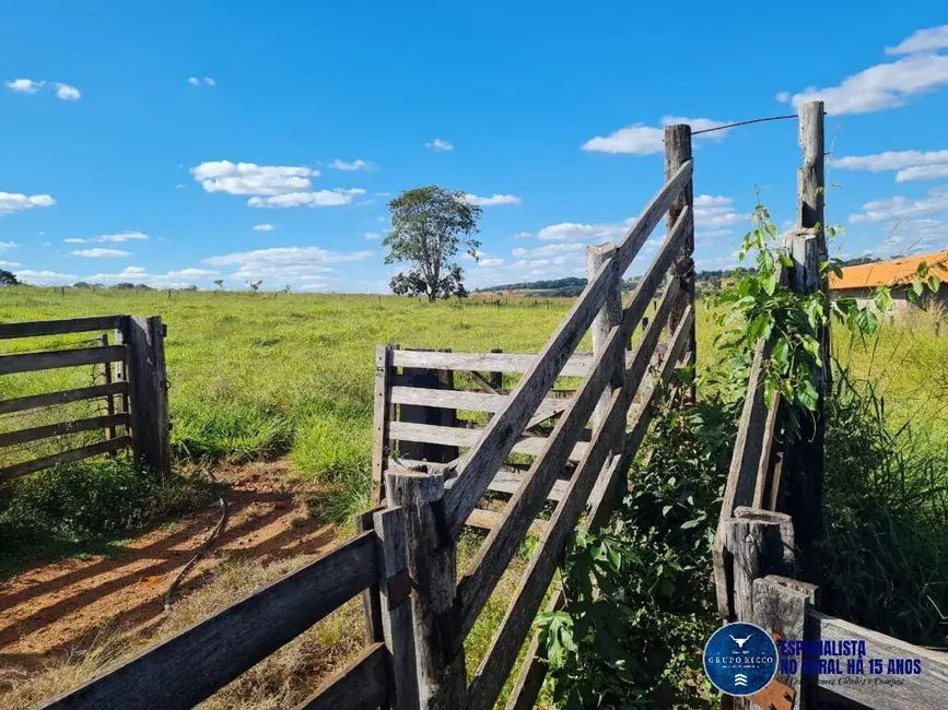 Foto 5 de Chácara à venda em Professor Jamil - GO