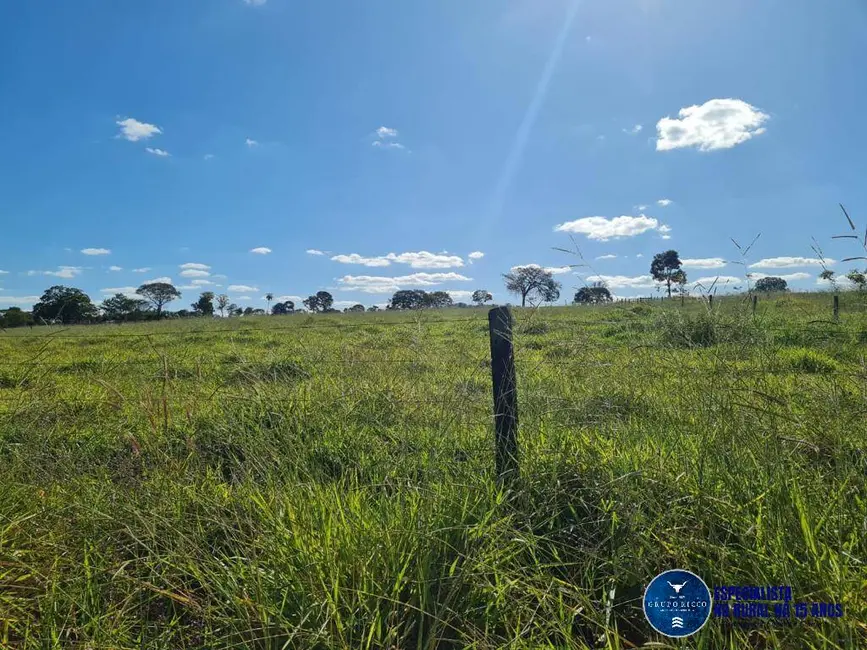 Foto 9 de Chácara à venda em Professor Jamil - GO