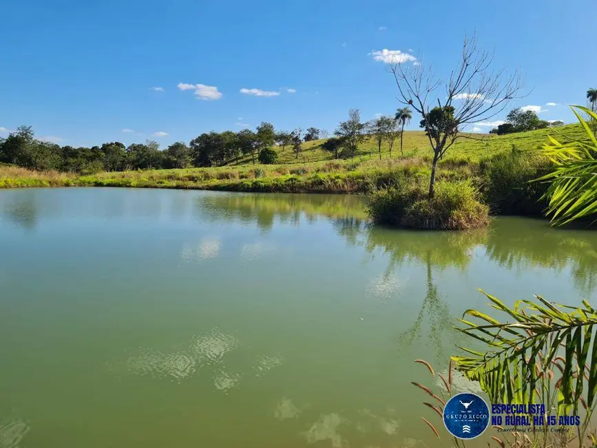 Foto 1 de Chácara à venda em Professor Jamil - GO