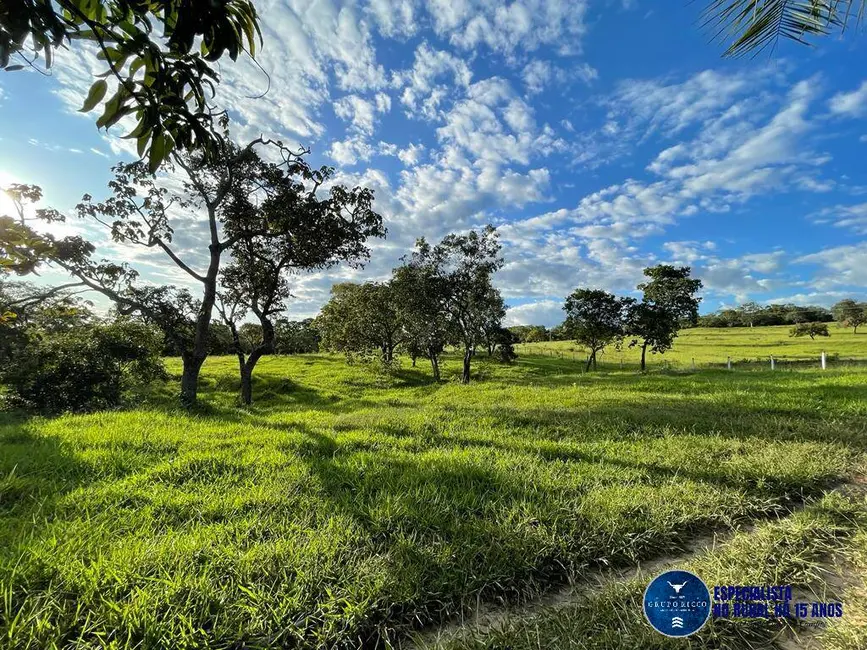 Foto 8 de Sítio / Rancho à venda, 18m2 em Caldas Novas - GO