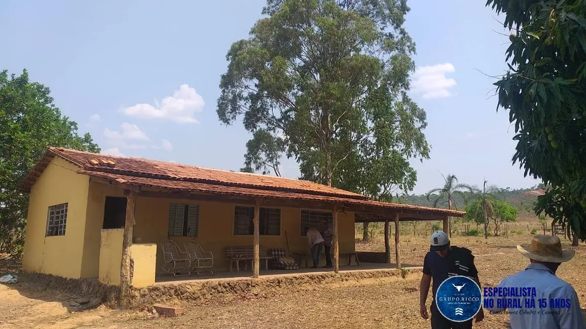 Foto 2 de Fazenda / Haras à venda, 78m2 em Flores De Goias - GO