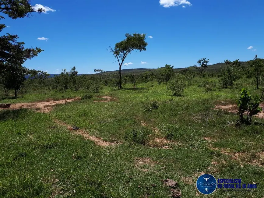 Foto 1 de Fazenda / Haras à venda, 78m2 em Flores De Goias - GO