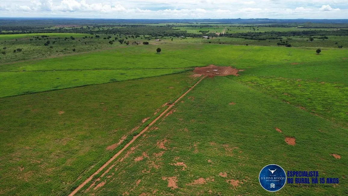 Foto 2 de Fazenda / Haras à venda, 1143m2 em Nova Xavantina - MT