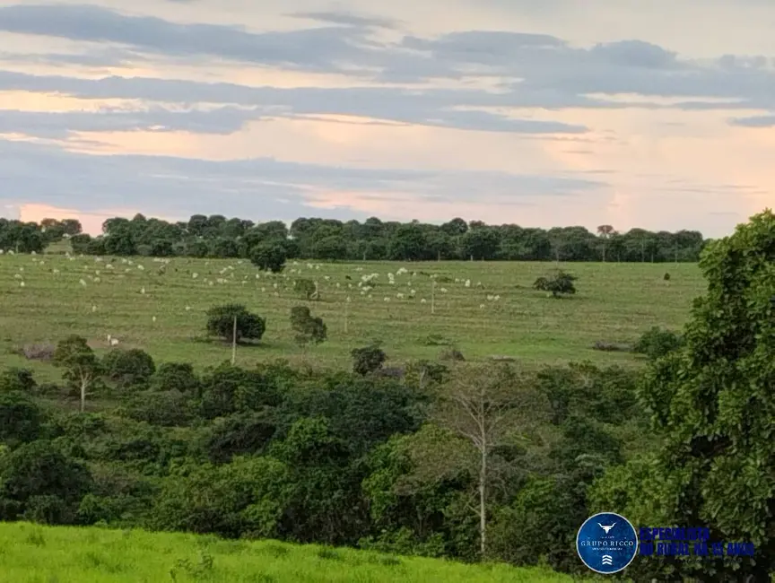 Foto 1 de Fazenda / Haras à venda, 187m2 em Mineiros - GO