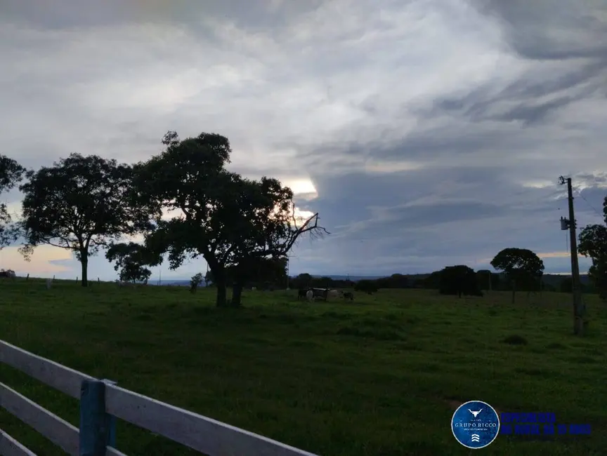 Fazenda / Haras à venda, 187m2 em Mineiros - GO - imagem 4 Foto 4 de Fazenda / Haras à venda, 187m2 em Mineiros - GO