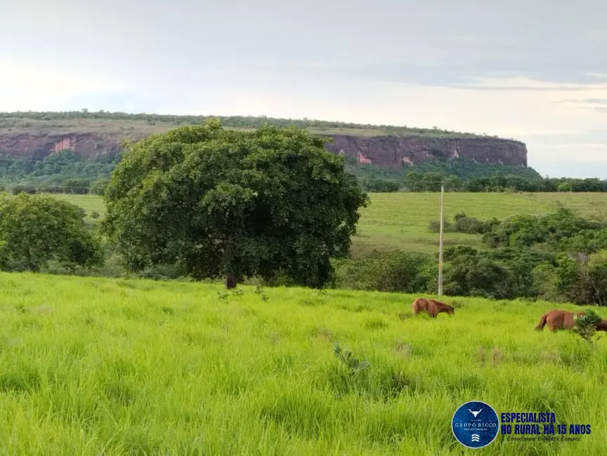 Fazenda / Haras à venda, 187m2 em Mineiros - GO - imagem 7 Foto 7 de Fazenda / Haras à venda, 187m2 em Mineiros - GO