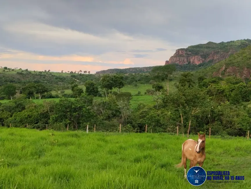 Fazenda / Haras à venda, 187m2 em Mineiros - GO - imagem 8 Foto 8 de Fazenda / Haras à venda, 187m2 em Mineiros - GO