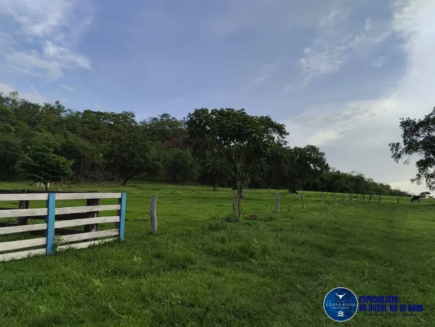 Fazenda / Haras à venda, 187m2 em Mineiros - GO - imagem 3 Foto 3 de Fazenda / Haras à venda, 187m2 em Mineiros - GO