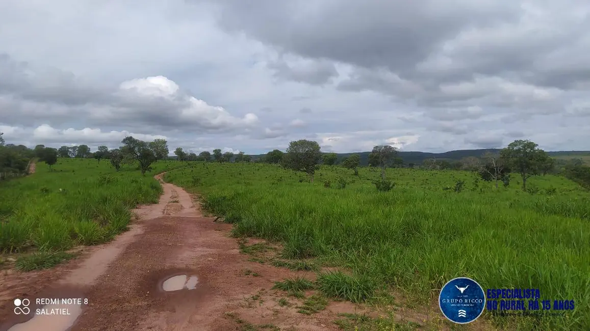 Foto 1 de Fazenda / Haras à venda, 814m2 em Nova Xavantina - MT