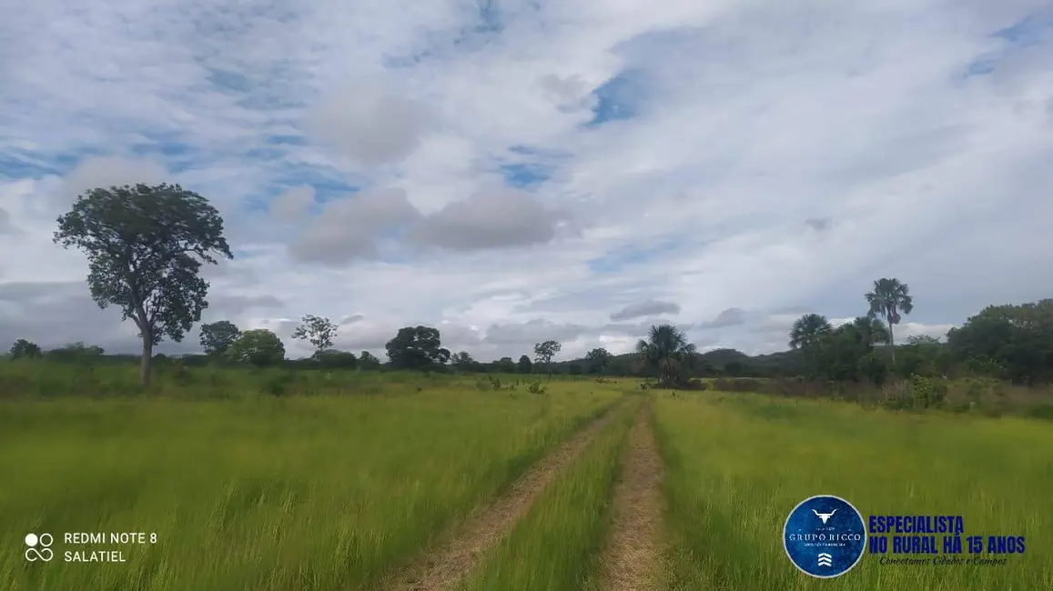 Foto 5 de Fazenda / Haras à venda, 814m2 em Nova Xavantina - MT