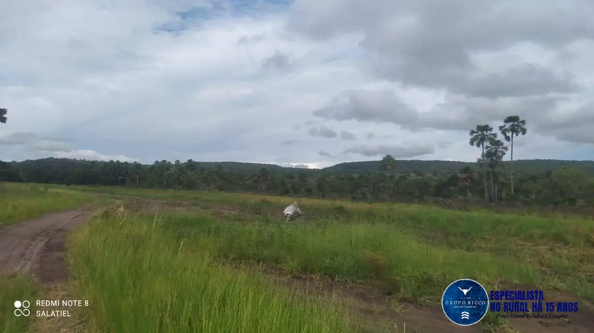 Foto 3 de Fazenda / Haras à venda, 814m2 em Nova Xavantina - MT