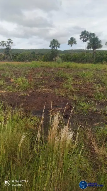 Foto 7 de Fazenda / Haras à venda, 814m2 em Nova Xavantina - MT