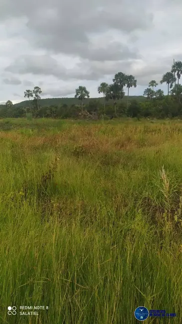 Foto 4 de Fazenda / Haras à venda, 814m2 em Nova Xavantina - MT