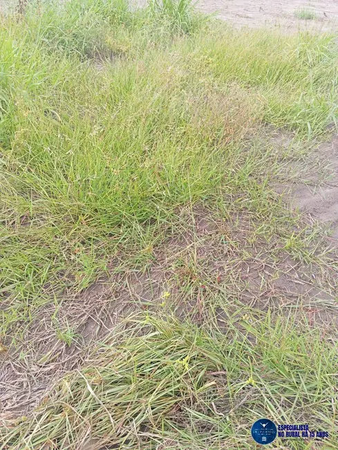 Foto 6 de Fazenda / Haras à venda, 814m2 em Nova Xavantina - MT