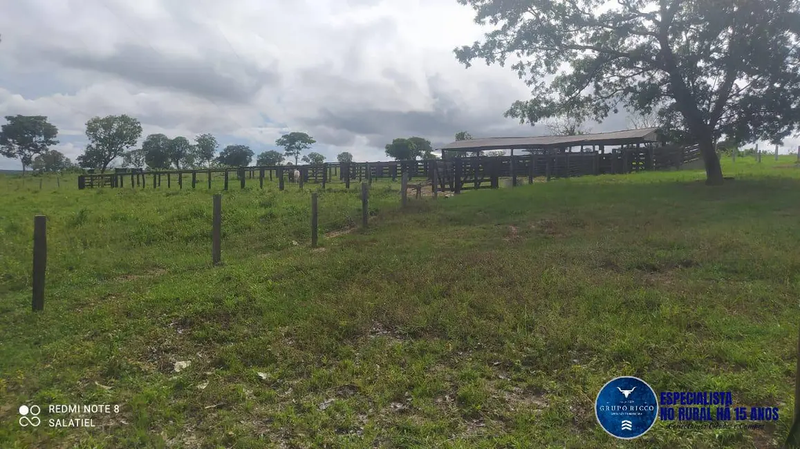 Foto 2 de Fazenda / Haras à venda, 814m2 em Nova Xavantina - MT