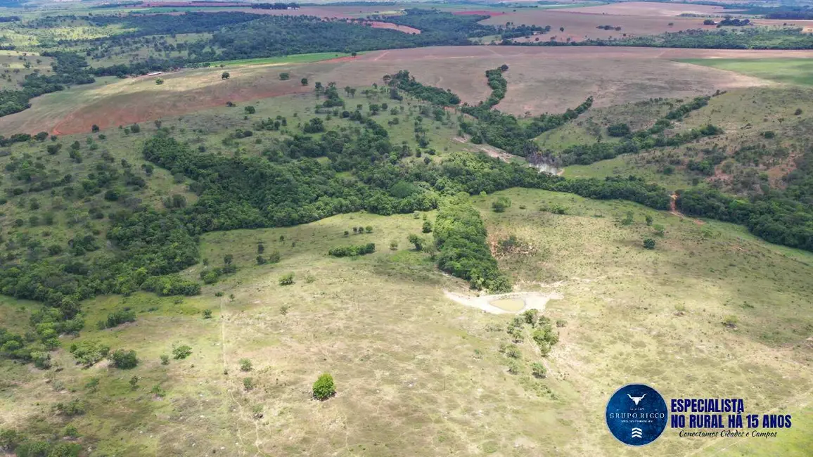 Fazenda / Haras à venda, 52m2 em Caldas Novas - GO - imagem 7 Foto 7 de Fazenda / Haras à venda, 52m2 em Caldas Novas - GO