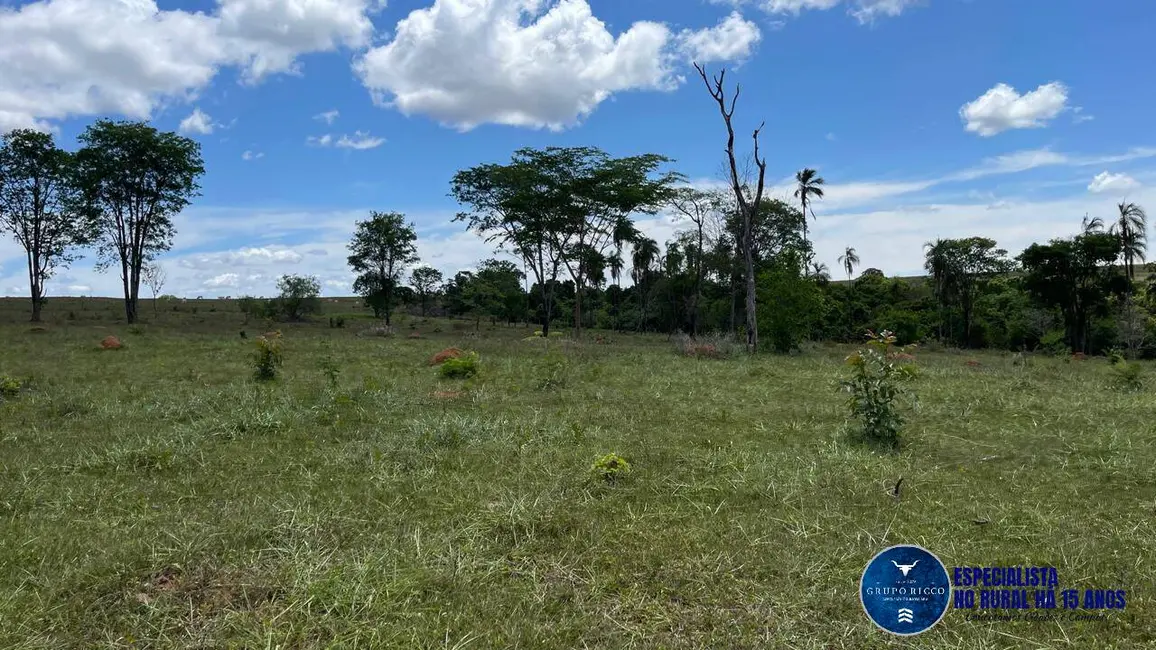 Fazenda / Haras à venda, 52m2 em Caldas Novas - GO - imagem 4 Foto 4 de Fazenda / Haras à venda, 52m2 em Caldas Novas - GO