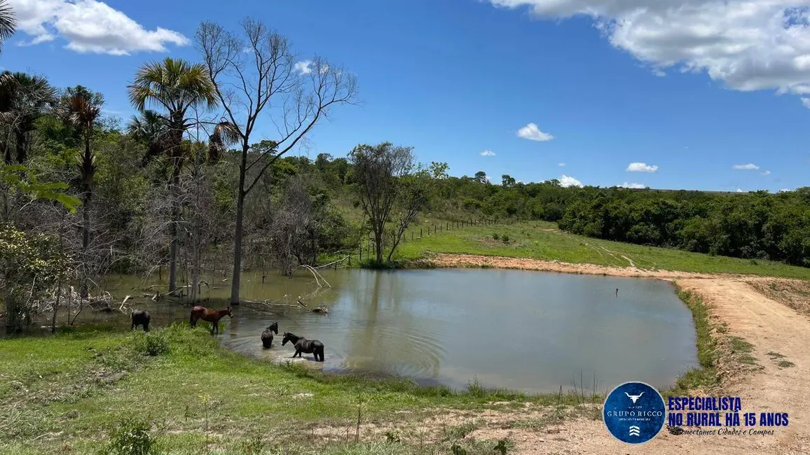 Fazenda / Haras à venda, 52m2 em Caldas Novas - GO - imagem 2 Foto 2 de Fazenda / Haras à venda, 52m2 em Caldas Novas - GO