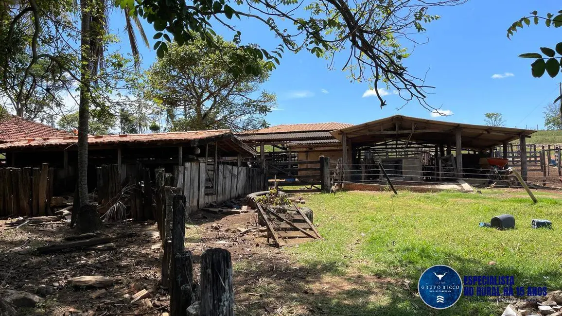 Fazenda / Haras à venda, 52m2 em Caldas Novas - GO - imagem 5 Foto 5 de Fazenda / Haras à venda, 52m2 em Caldas Novas - GO