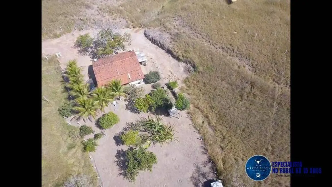 Foto 9 de Fazenda / Haras à venda, 40m2 em Sao Miguel Do Passa Quatro - GO