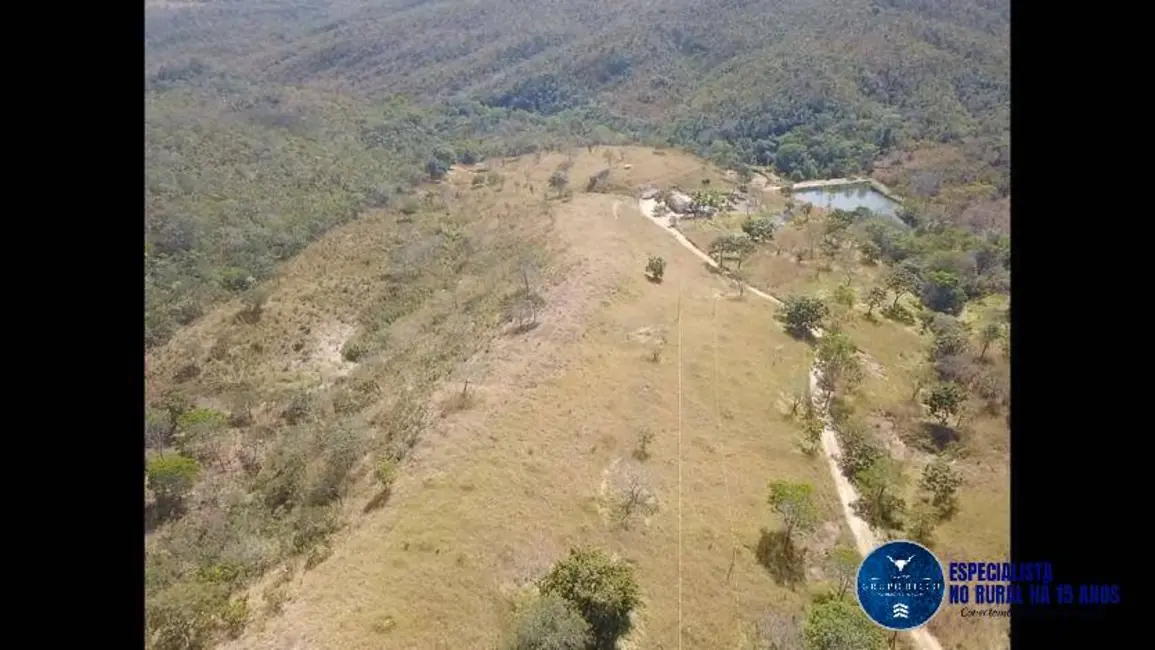 Foto 7 de Fazenda / Haras à venda, 40m2 em Sao Miguel Do Passa Quatro - GO
