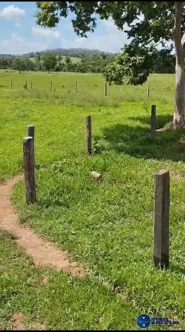 Foto 4 de Fazenda / Haras à venda, 320m2 em Novo Sao Joaquim - MT