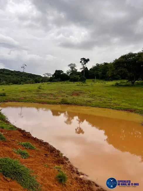 Fazenda / Haras à venda, 116m2 em Rio Verde - GO - imagem 8 Foto 8 de Fazenda / Haras à venda, 116m2 em Rio Verde - GO
