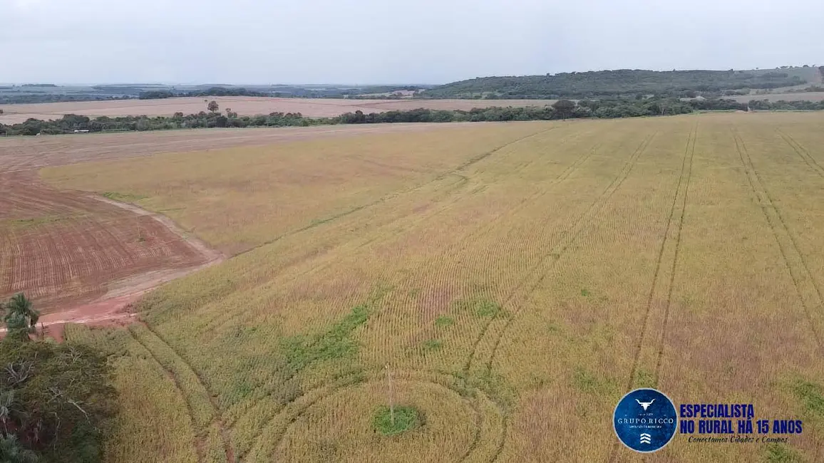 Fazenda / Haras à venda, 116m2 em Rio Verde - GO - imagem 5 Foto 5 de Fazenda / Haras à venda, 116m2 em Rio Verde - GO