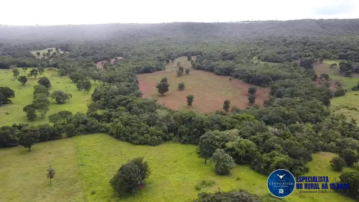 Fazenda / Haras à venda, 116m2 em Rio Verde - GO - imagem 3 Foto 3 de Fazenda / Haras à venda, 116m2 em Rio Verde - GO